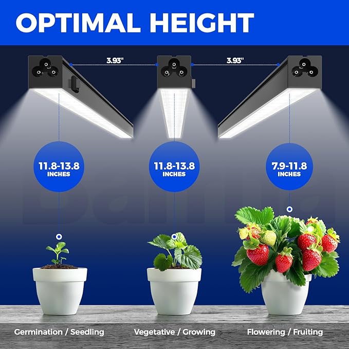Barrina T5 Grow Lights for Indoor Plants, Full Spectrum Grow Light, 1ft LED Plant Light, Black