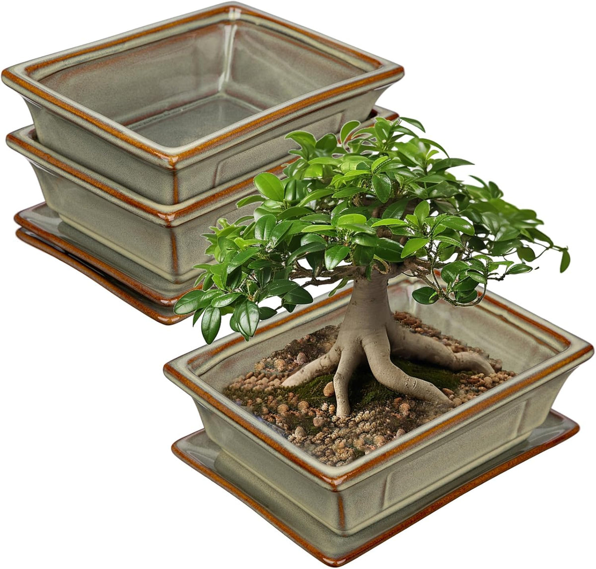 Ceramic Bonsai Pots with Drainage Tray, Set of 2 Rectangular Glazed Bonsai Planters for