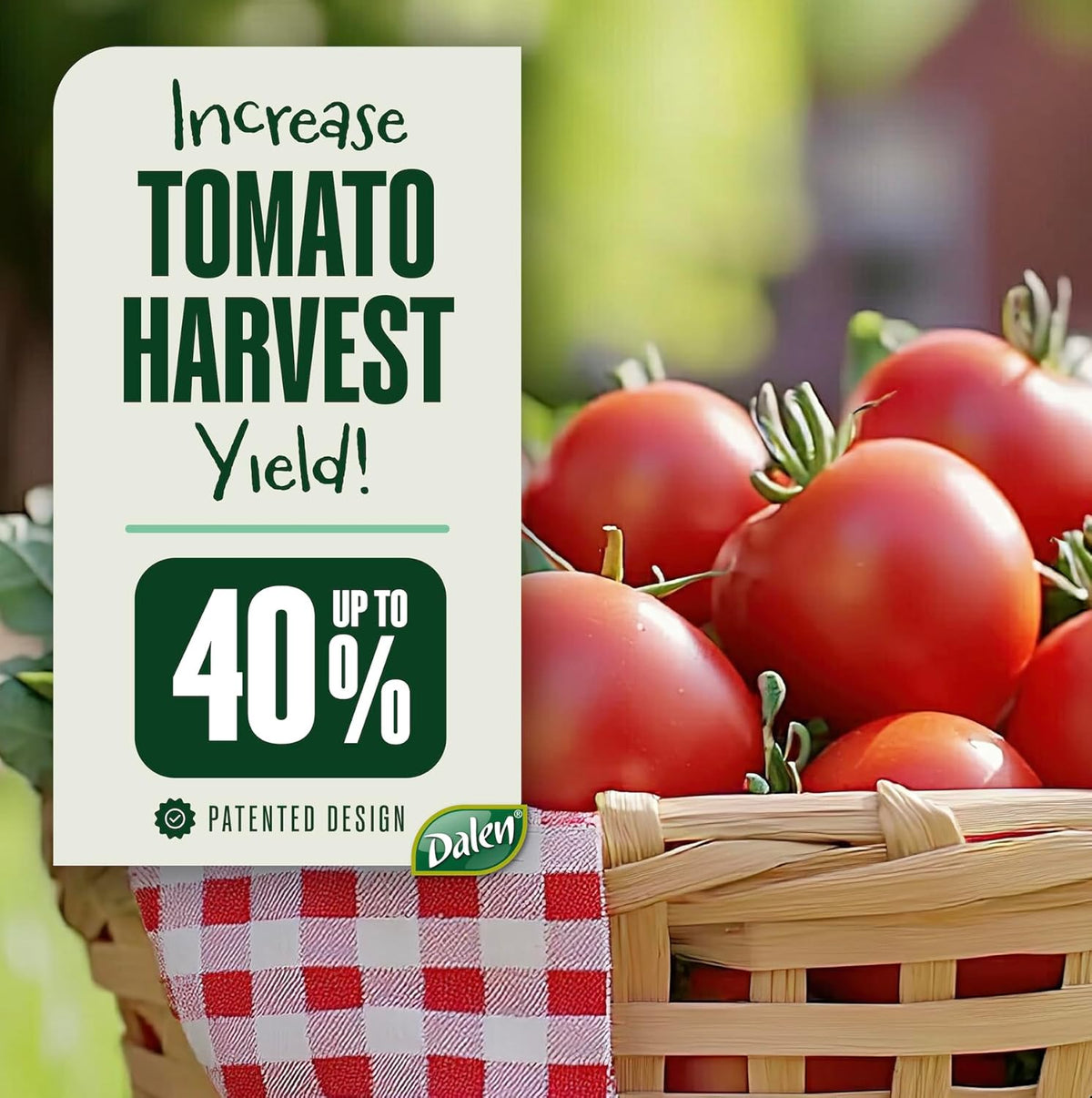 DALEN Gardeneer Tomato Tray Super Boost – Increases Tomato Plant Yield up to 40% – Easy to Install