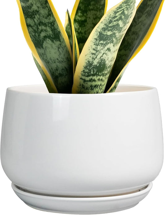 G EPGardening Ceramic Pots for Plants - 7 Inch Planter for Indoor Plants, Round Flower Pots with