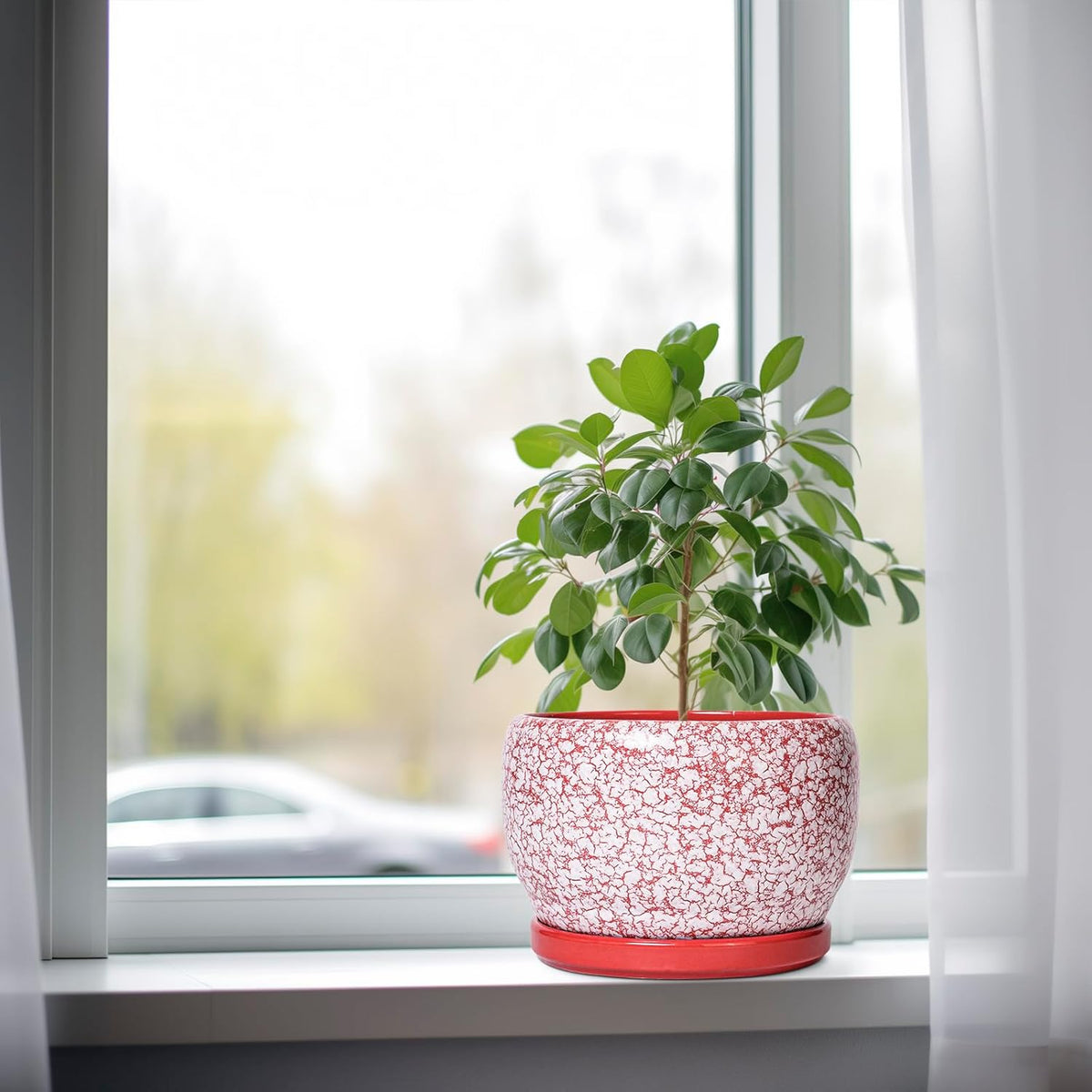 SQOWL Ceramic Pots for Plants - 8 inch Indoor Planter with Drainage Hole and Tray, Ceramic Flower