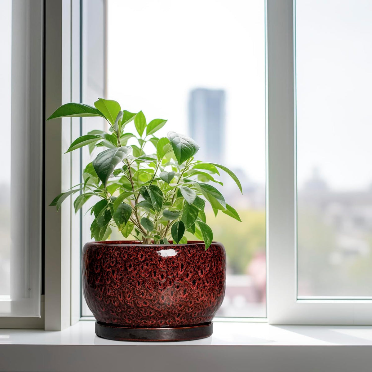 SQOWL Ceramic Flower Pots - 10 Inch Plant Pot Indoor, Ceramic Planter with Drainage Hole and