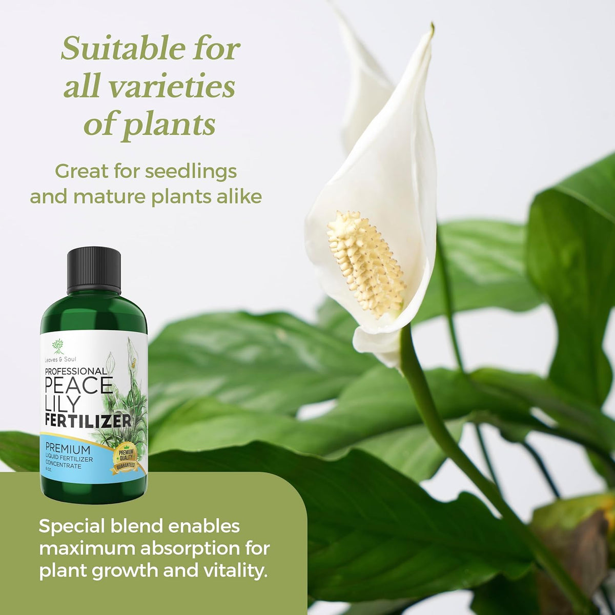 Professional Liquid Peace Lily Plant Fertilizer | 3-1-2 Concentrate for Plants and Flowers |