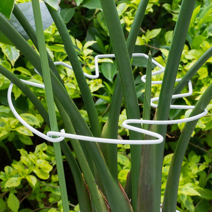5PCS Monstera Plant Stem Support White - 11x9.4 inches, Durable Adjustable Leaf Supports for Indoor