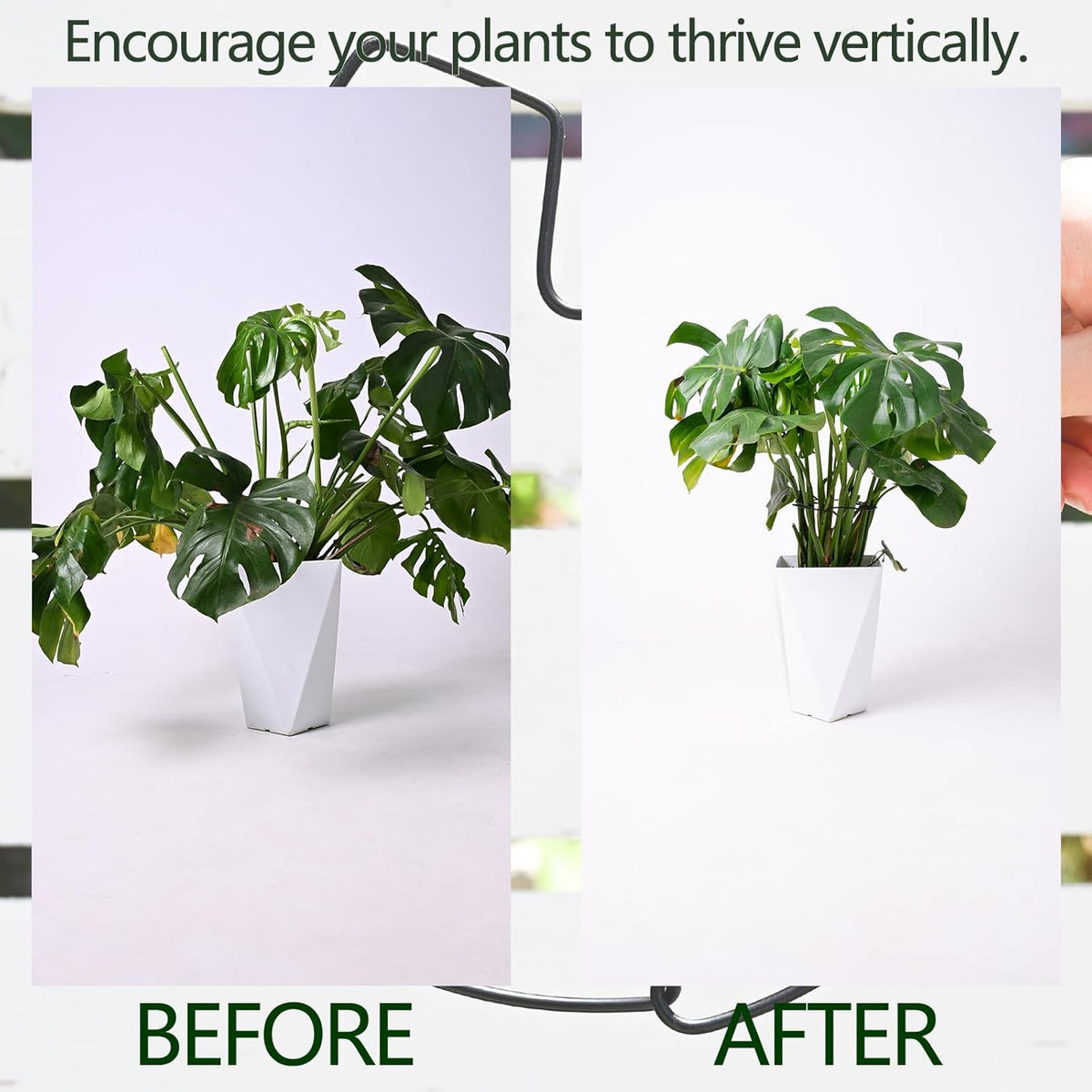 5PCS Black Monstera Plant Stem Support 9x7.6in - Adjustable & Durable Indoor Plant Stake for Cactus