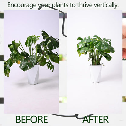 5PCS Black Monstera Plant Stem Support 9x7.6in - Adjustable & Durable Indoor Plant Stake for Cactus