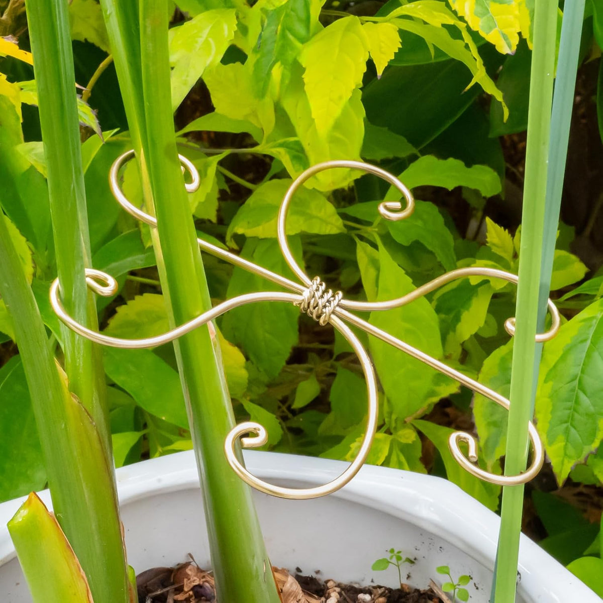 5PCS Monstera Plant Stem Support Stakes - 5.5 * 5.5IN Metal Supports for Monstera and Fishbone