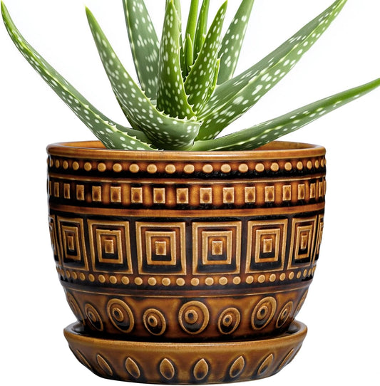 G EPGardening Succulent Pot 5.5 Inch - Ceramic Plant Pot for Indoor Plants Outdoor, Round Boho