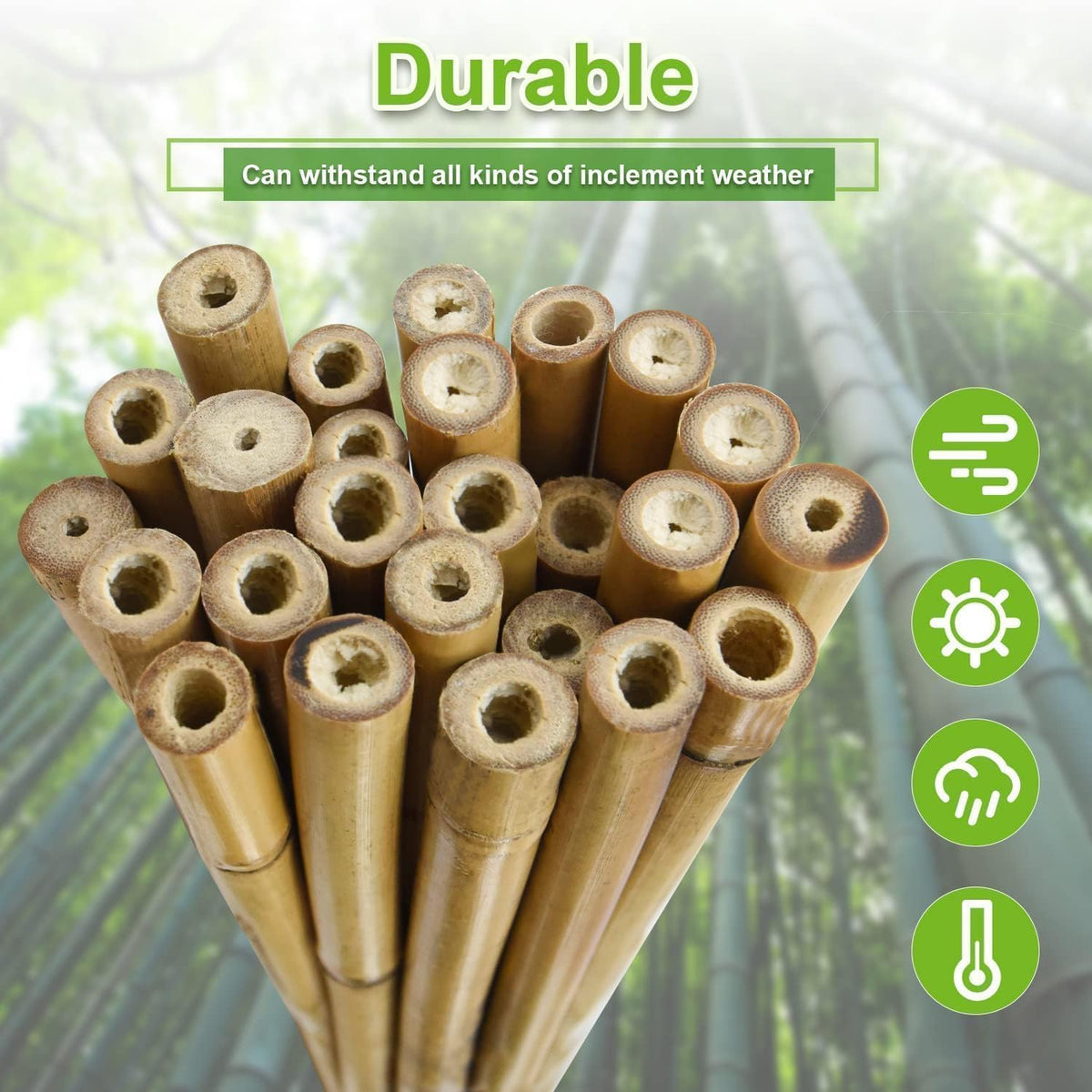 5/8" D 6 Feet Bamboo Stakes 50 Pack, Thicker Heavy-Duty Plant Stakes, Natural Garden Stakes for
