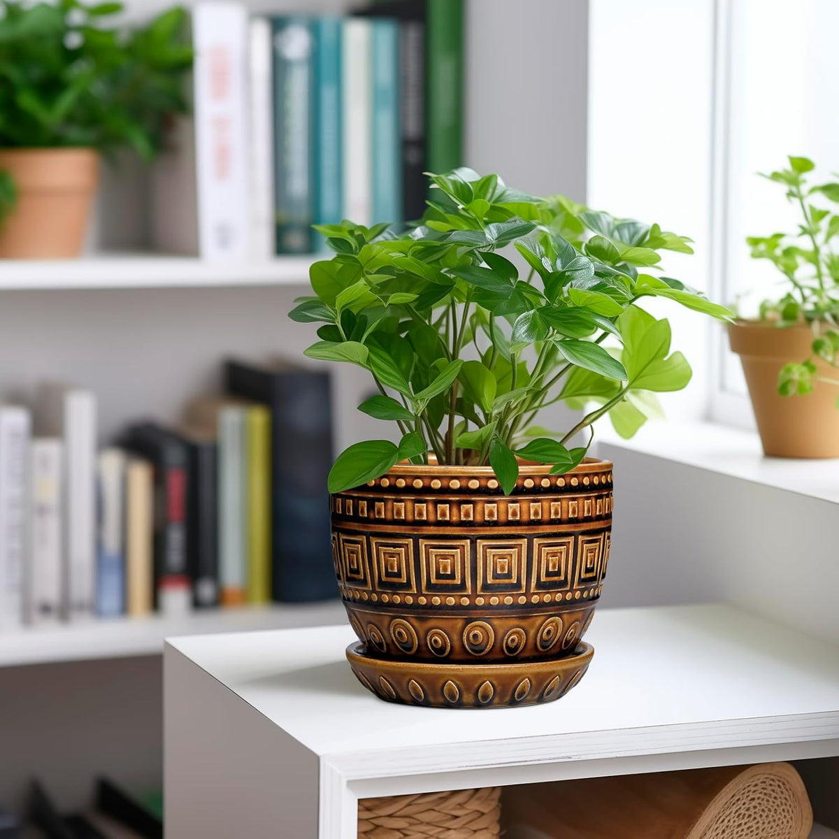 G EPGardening Succulent Pot 5.5 Inch - Ceramic Plant Pot for Indoor Plants Outdoor, Round Boho
