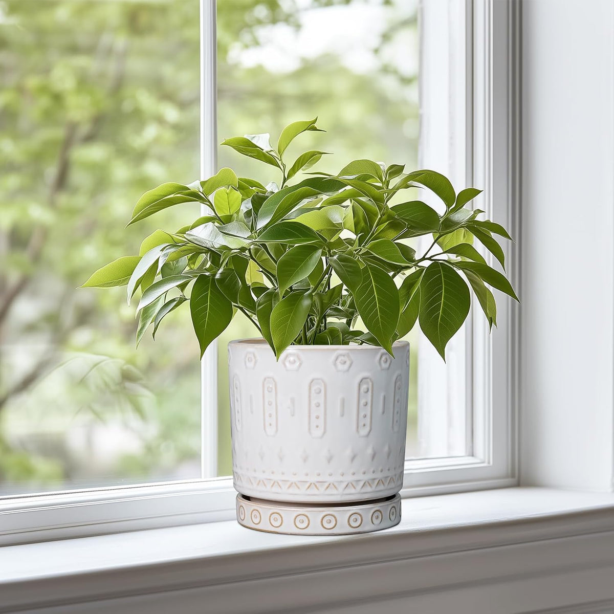 Pot for Plants 6 Inch - Ceramic Planter for Indoor Plants Decorative Plant Pot with Drainage Holes