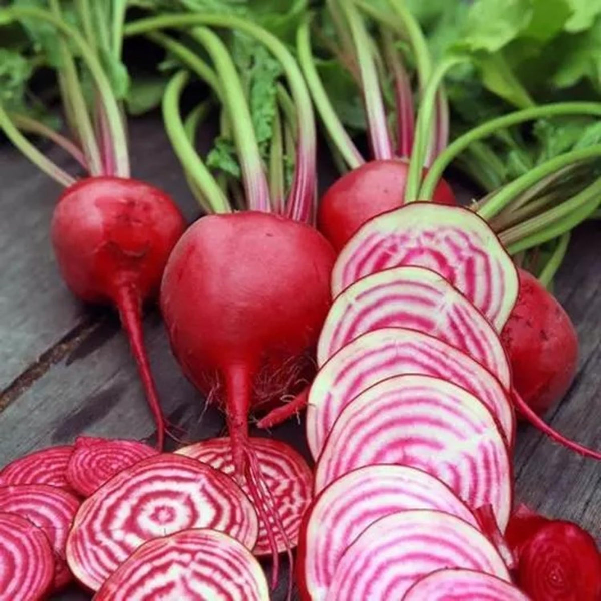 Chioggia Beet Seeds for Planting – Plant & Grow Heirloom Chioggia Beets in Home Outdoor Vegetable