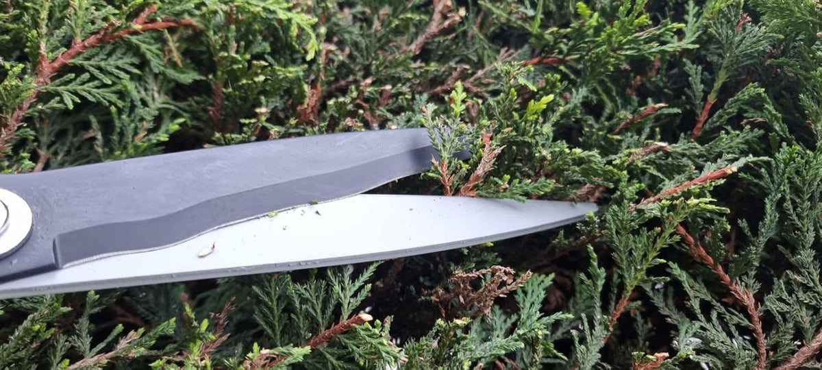 Kimura® Pro Heavy Duty Hedge Shears - Premium Garden Clippers with Patented Gearing Technology