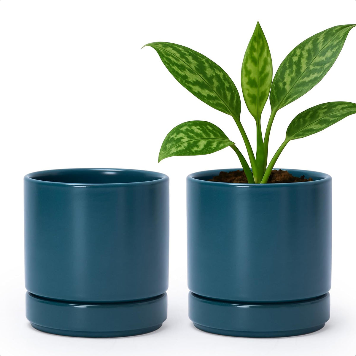 D'vine Dev Set of 2 Plants Pots, 4.7 Inch Ceramic Planter Pot for Plants with Drainage Hole and