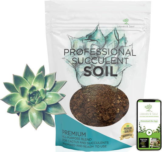 Extra Large 8.2 QT Bag Succulent Soil Premium All Purpose Blend | Pre-Mixed Ready to Use for Cactus
