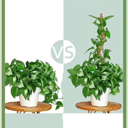 Moss Pole,63 Inch Monstera Plant Support, Upgraded 7mm Aluminum core Moss Poles for Climbing Indoor