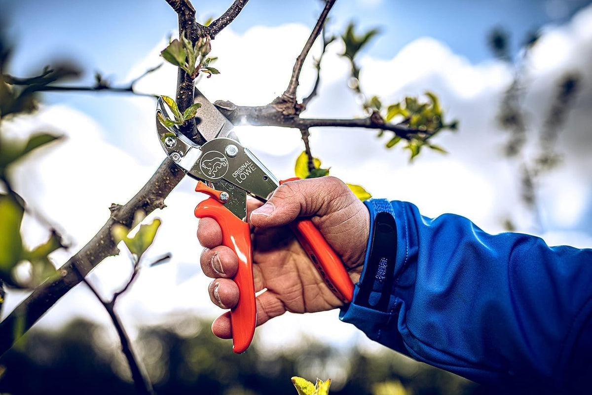 Original LÖWE 10 Professional Anvil Pruning Shears 10.107 with Bypass Geometry - Innovative Sharp