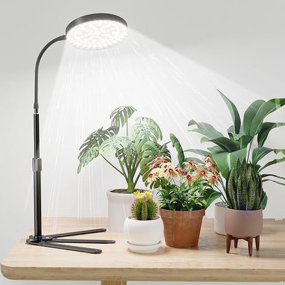 Super-Bright Grow Light 100W, 6000K 216LEDs White Full Spectrum Plant Growing Lamp for Home Office