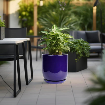 Ceramic Planter - 12 Inch Pots for Plants Ceramic Plant Pot Indoor with Drainage Hole and Saucer