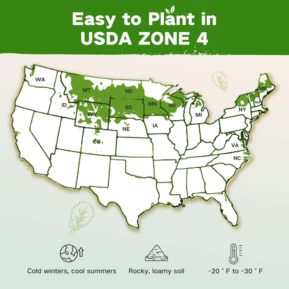 Lush&Dew Year-Round USDA Zone 4 Seed Bank, 32 Varieties Non-GMO Heirloom Seeds of Vegetables