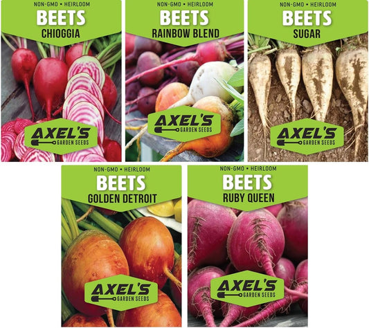 Beet Seeds for Planting - Plant & Grow Heirloom Beet Varieties Home Outdoor Vegetable Garden – Easy