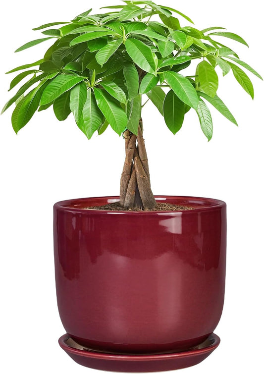 Ceramic Planter for Plants - Round Modern 7 Inch Plant Pot Indoor with Drainage Hole and Saucer