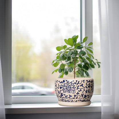 SQOWL Ceramic Planters for Indoor Plants - 8 inch Plant Pot with Drainage Hole and Saucer