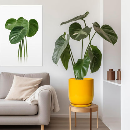 12 Inch Pots for Plants - Ceramic Planter for Outdoor Plants Large Plant Pot Indoor with Drainage