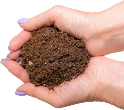 GARDENERA Money Tree Potting Soil - 10 Quart - Soil Mix for Planting or Repotting Guiana Chestnut