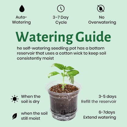 20 Pack 5 Inch Clear Self Watering Plant Pots with Bottom Water Tray & Watering Rope, Transparent