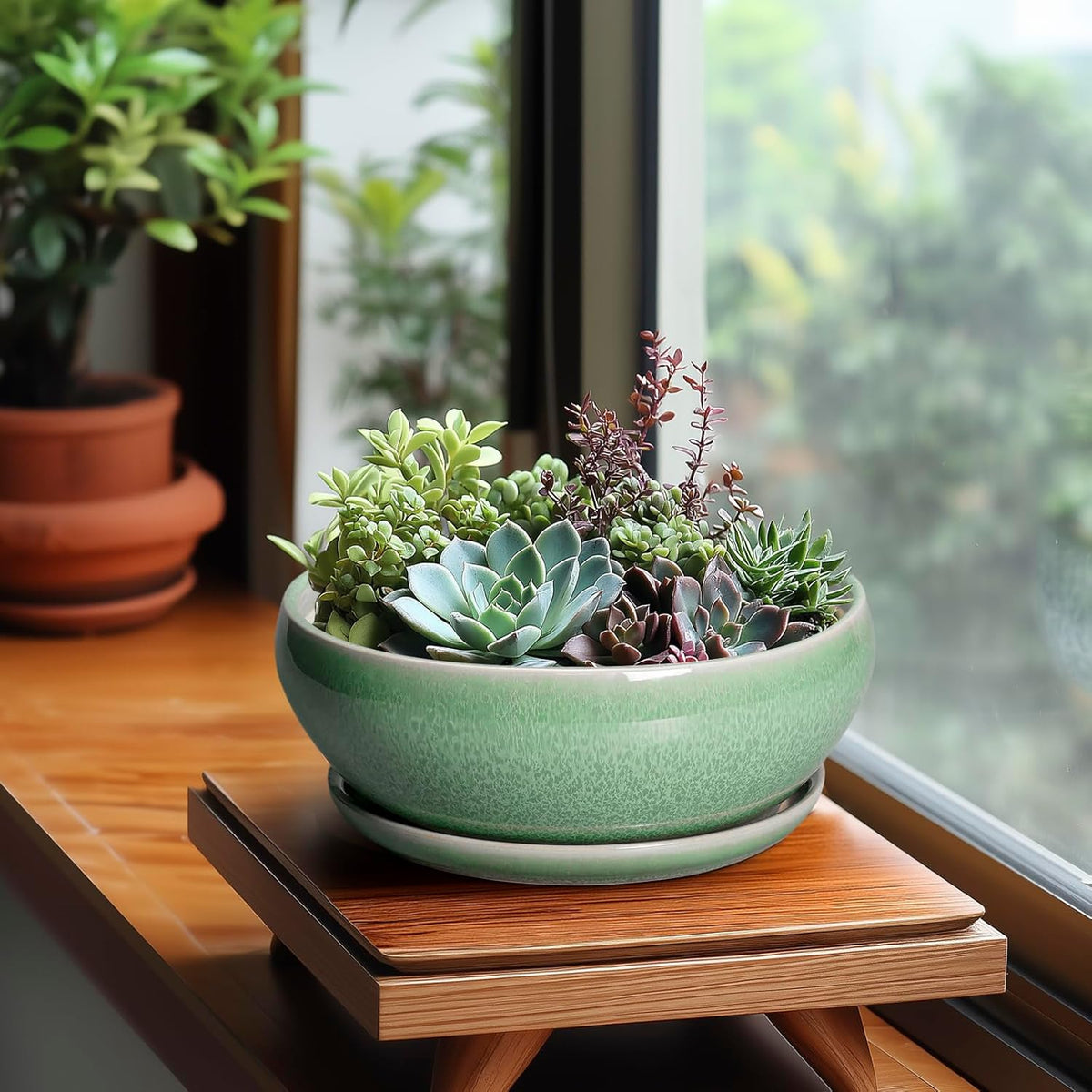 SQOWL Bonsai Planter - 8 Inch Ceramic Succulent Planters for Indoor Plants Outdoor, Shallow Round