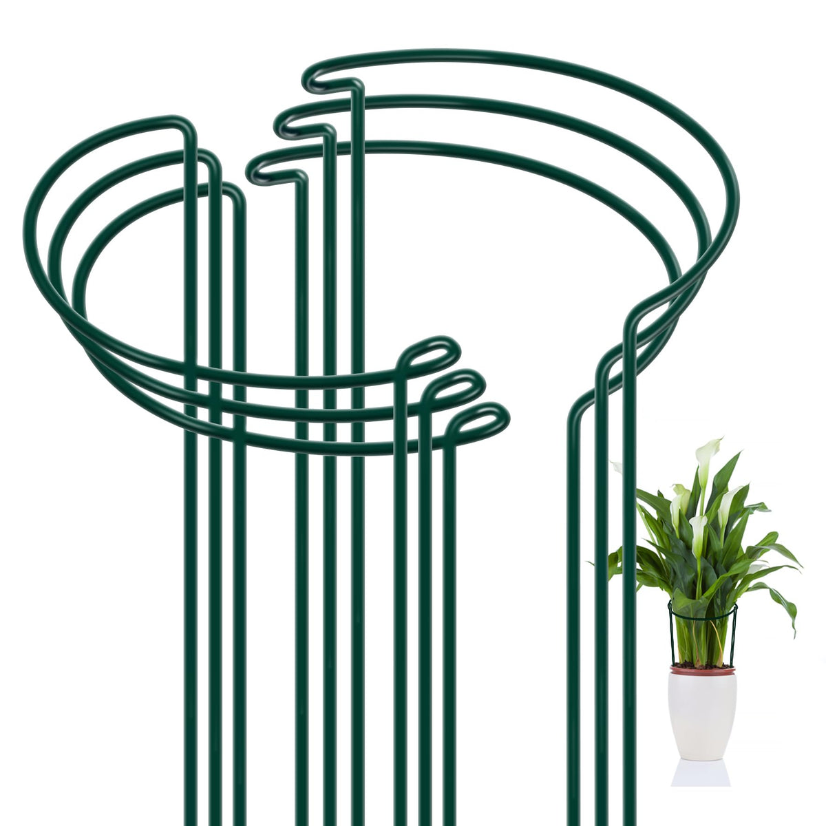 FEED GARDEN Peony Cages and Supports, 6 Pack Plant Support Stakes for Outdoor & Indoor Plants, 10"