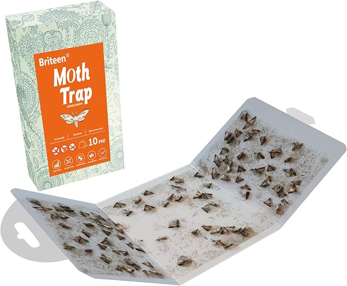 Pantry Moth Traps 10-Pack Safe and Effective for Food and Clothing- Glue Traps with Pheromones for