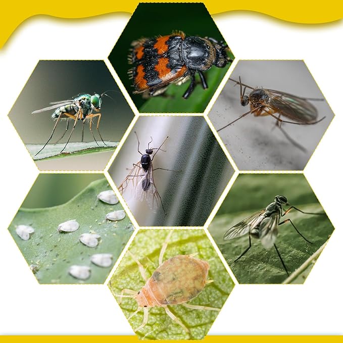 220 Pcs 7.9 x 4 Inch Sticky Traps for Plant Gnats Double Sided Sticky Traps with Twist Ties for