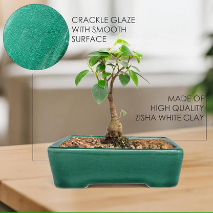 Set of 2 Zisha White Clay Bonsai Pot Glazed Shallow Succulent Planter Green