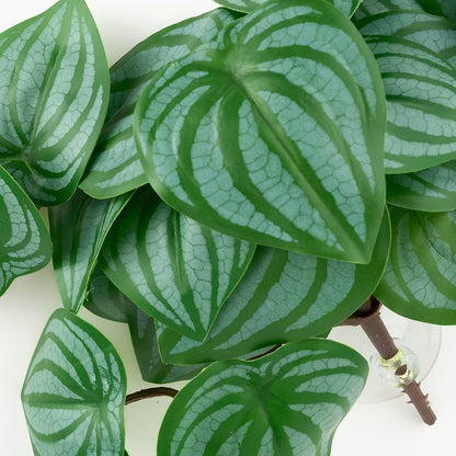 Reptile Plants for Terrarium, Amphibian Habitat Decor Artificial Hanging Plants with Suction Cup