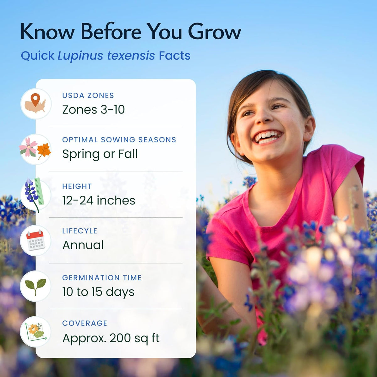 Created By Nature Texas Bluebonnet Seeds, 750+ Wildflower Seeds, Texas State Flower