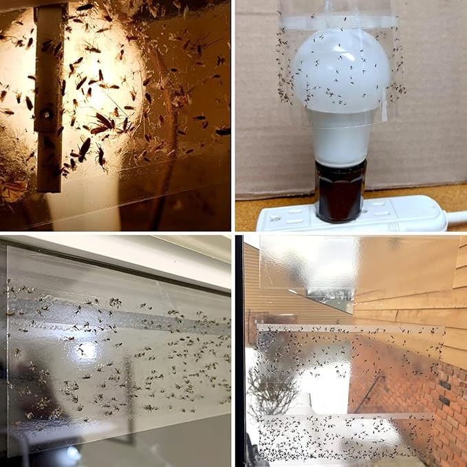 100 Pack Window Fly Trap, Fruit Fly Traps for Indoors, Fly Paper Sticky Strips, Fly Traps for