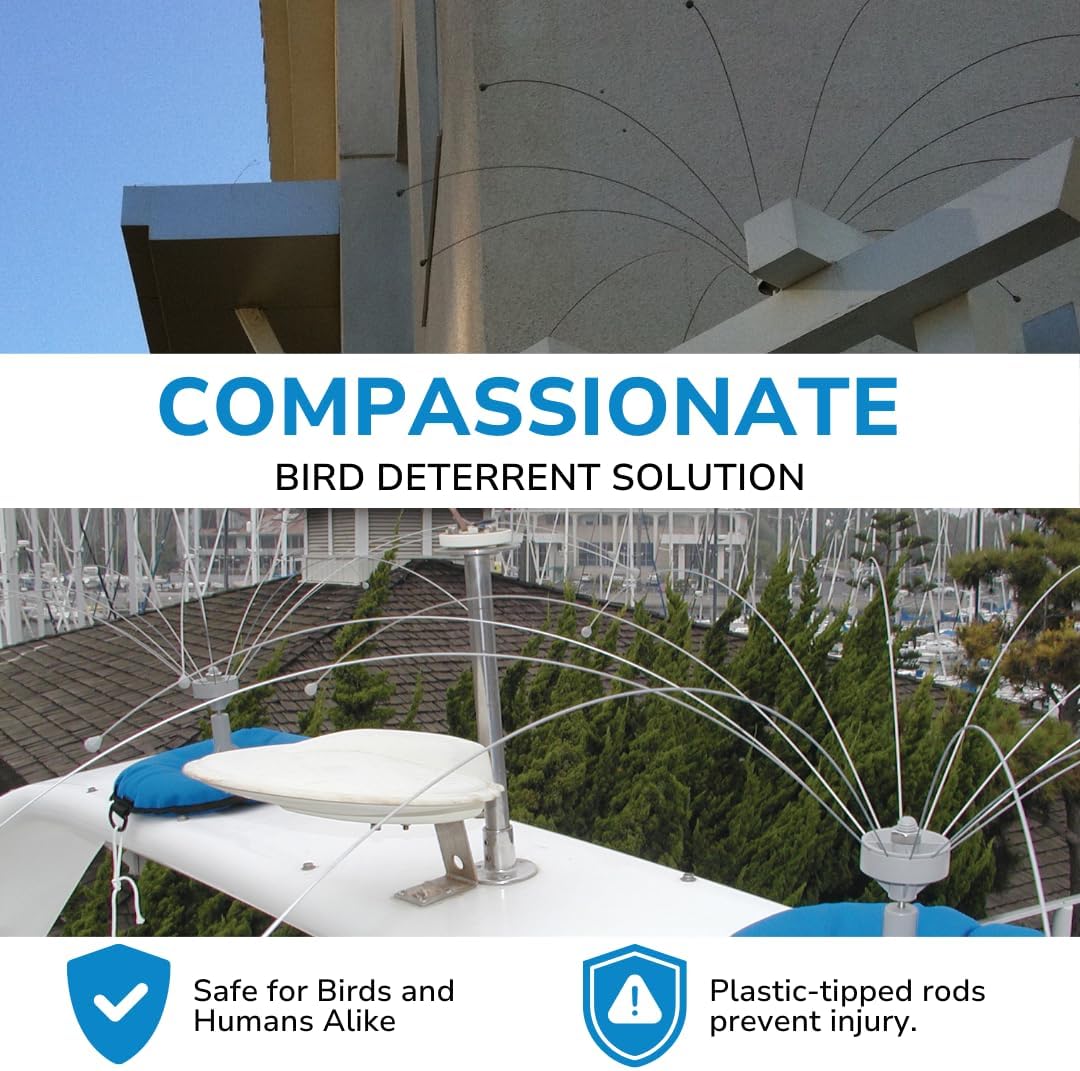 Bird Barrier Daddi Long Legs -2 Ft | Scare Birds Away with Innovative Bird Spider Design | Easy