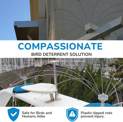 Bird Barrier Daddi Long Legs -2 Ft | Scare Birds Away with Innovative Bird Spider Design | Easy