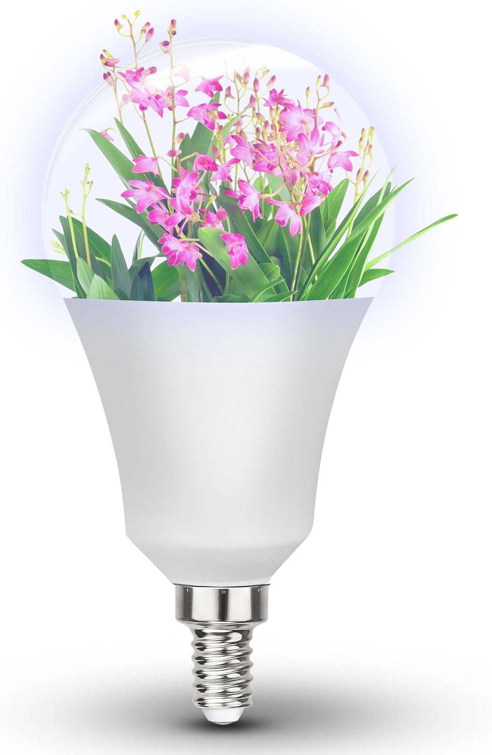 Grow Light Bulbs Full Spectrum with Red Blue 5000K E12 Candelabra Small Base 9W Sunlight Grow Bulb