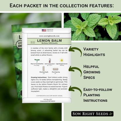 Sow Right Seeds - 15 Herb Garden Seed Collection for Planting - Essential Herbs for Cooking