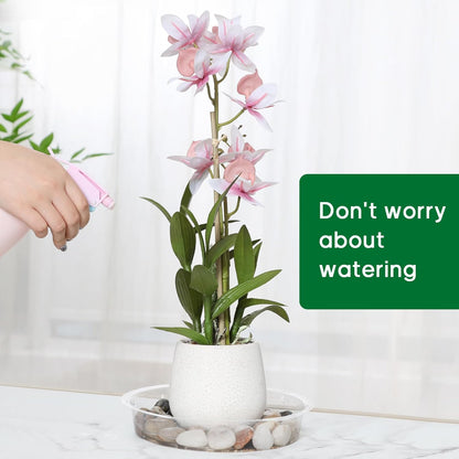 JERIA 8 Inch 20 Pack Clear Plant Saucers,Plastic Flower Pot Trays,Round Durable Plant Drip Trays