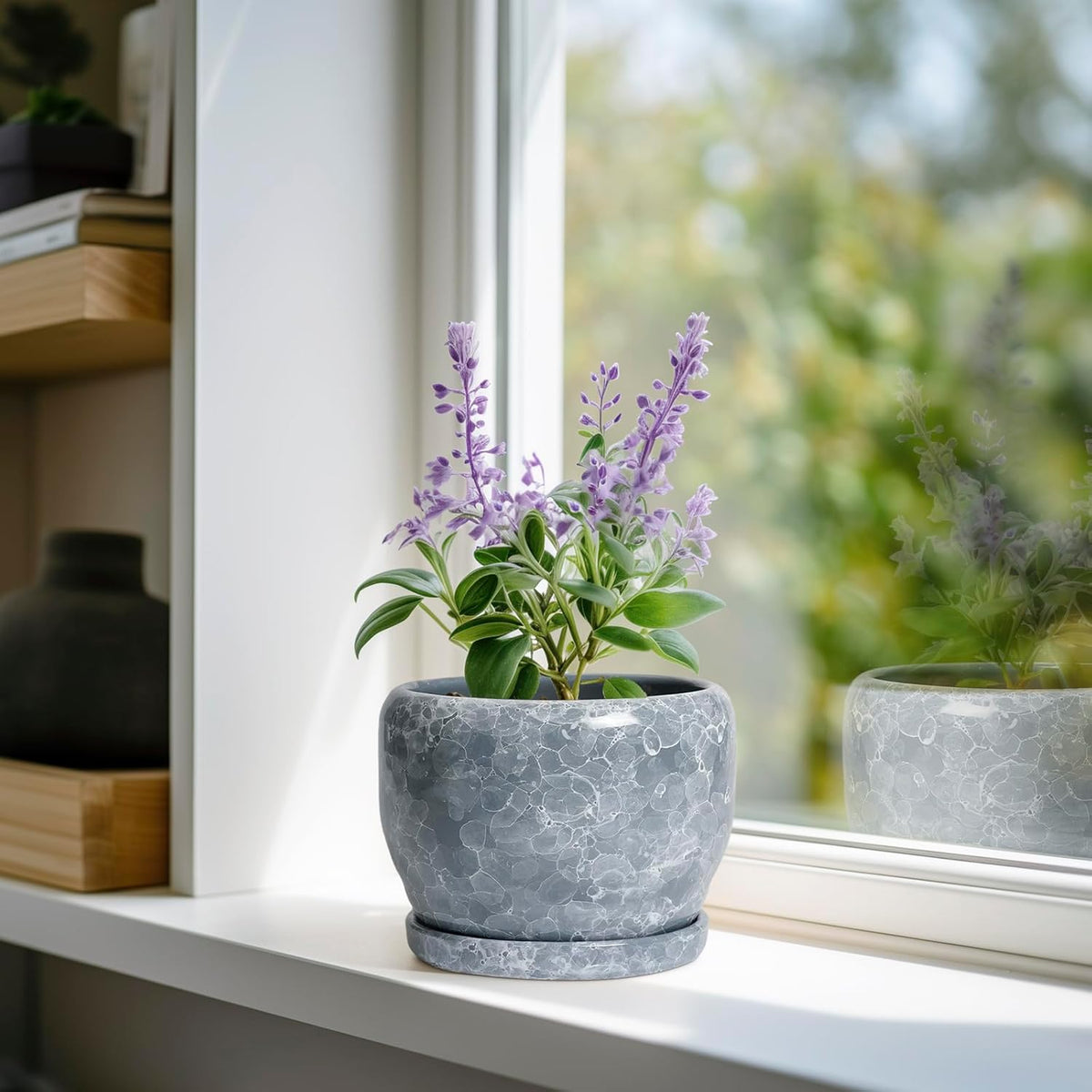 SQOWL 6 Inch Plant pots Indoor - Ceramic Planter with Drainage Hole and Saucer, Ceramic Flower Pot