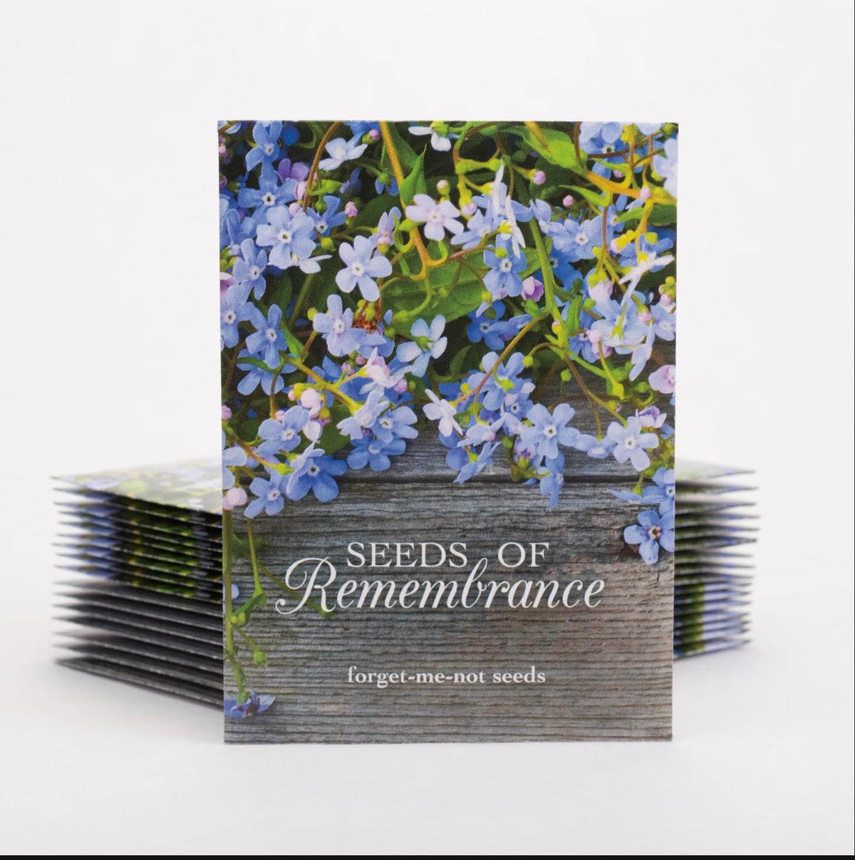 Bentley Seed Co. | Seeds of Remembrance | Pre Filled Non-GMO, Non-Coated Forget Me Not Seeds