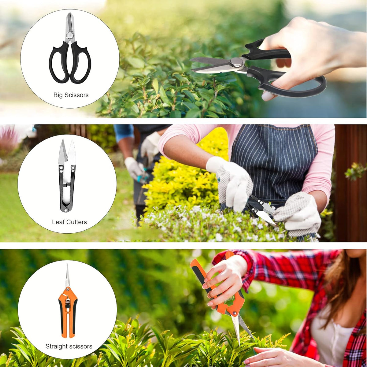 Bonsai Tools Set, 20 Pcs Gardening Succulent Tree Indoor Beginner Tool Kit, Include 262 Feet Bonsai