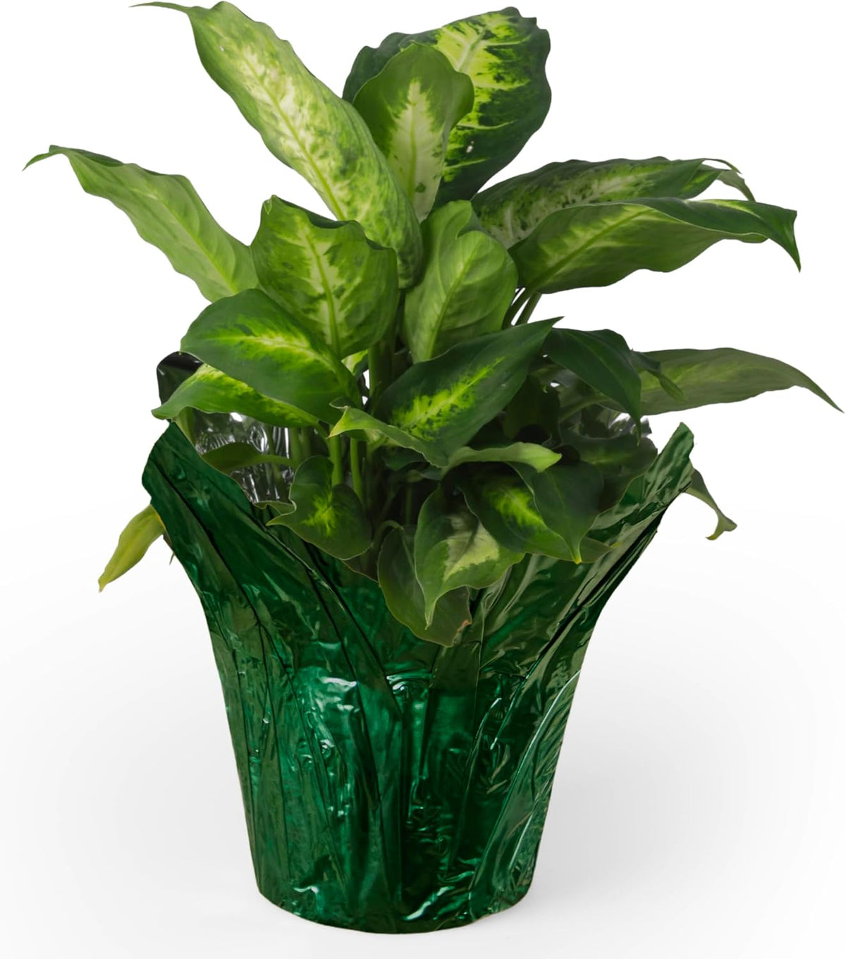 6” AZA Plant Pot Covers, Decorative Plant Sleeve for Indoor & Outdoor House Plants, Reusable and