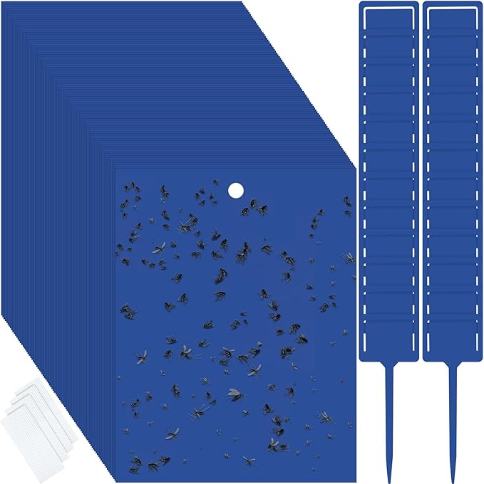 Qualirey 100 Pcs 6 x 8 Inch Sticky Traps for Gnats Dual Sided Fruit Fly Sticky Traps for Indoor and
