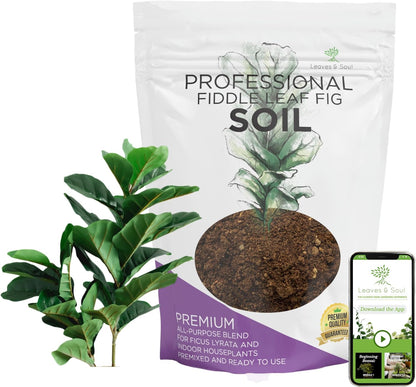 Large Bag Houseplant Fiddle Leaf Fig Soil Premium All Purpose Blend | Ready to Use for Indoor
