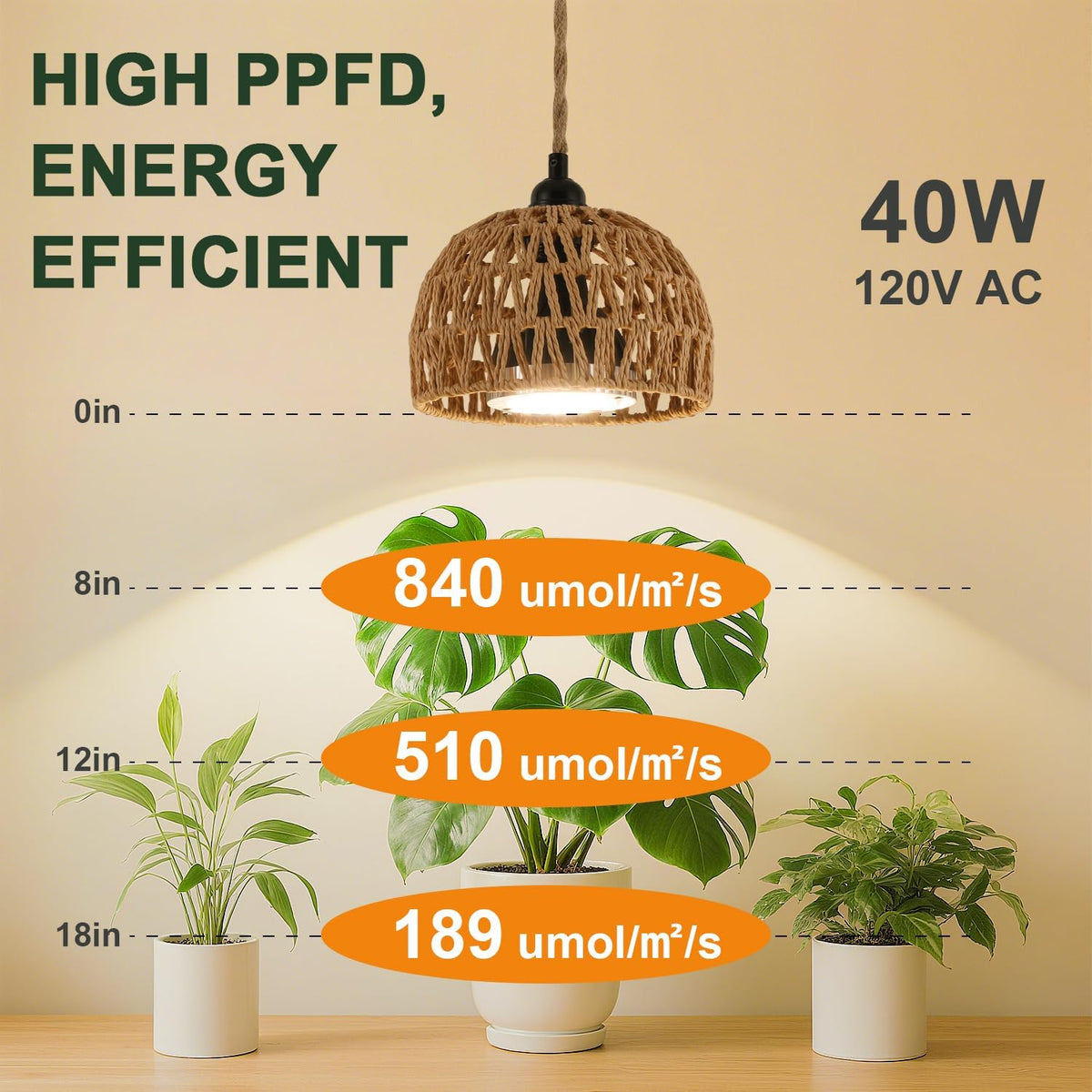 Hanging Grow Lights for Indoor Plants, Full Spectrum, with Timer and 15FT Power Cord, 30W Pendant